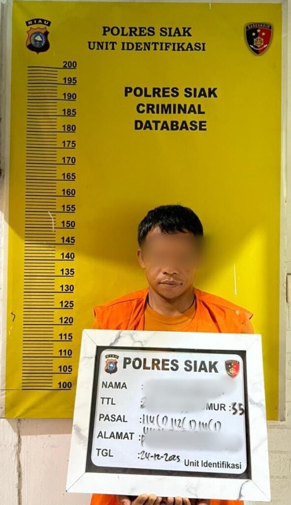 Polsek Sungai Apit Ringkus Pengedar Shabu dan Ganja, Sita Hampir 100 Gram Ganja IMG-20251231-WA0011