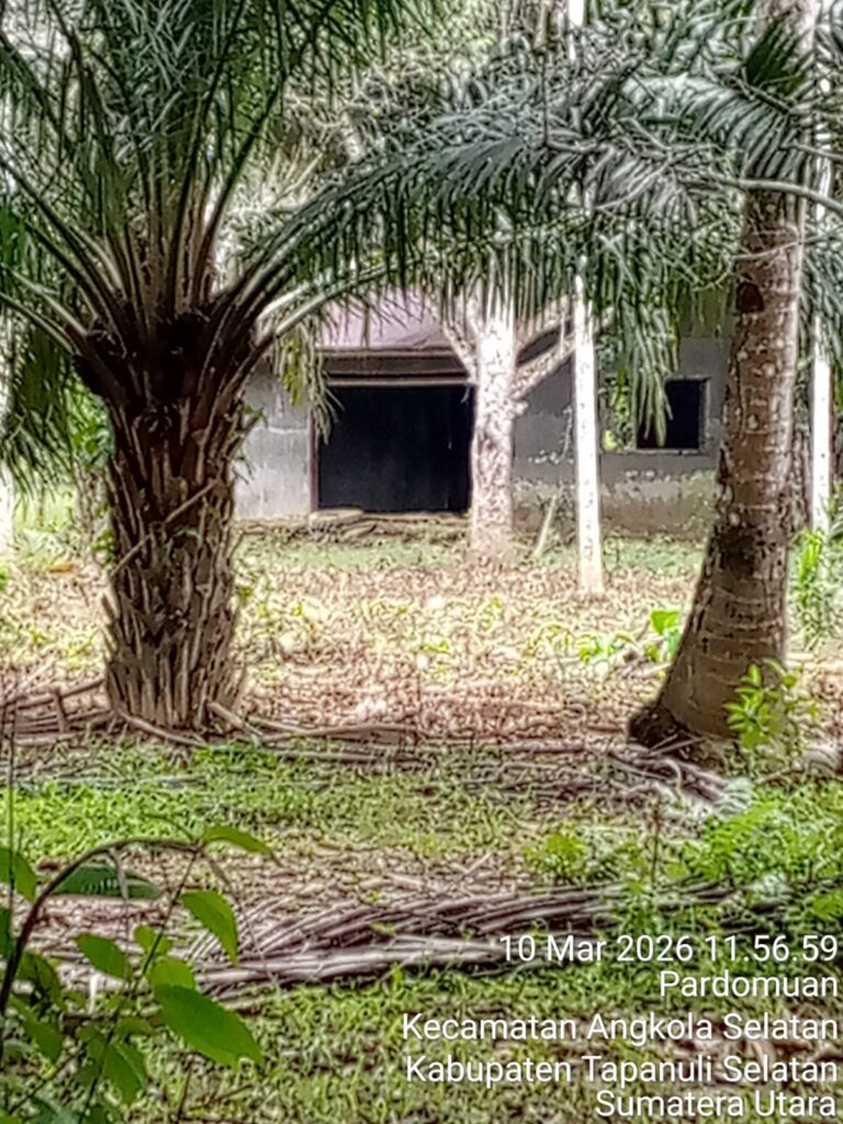 IMG-20260510-WA0006