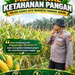 IMG-20261014-WA0006